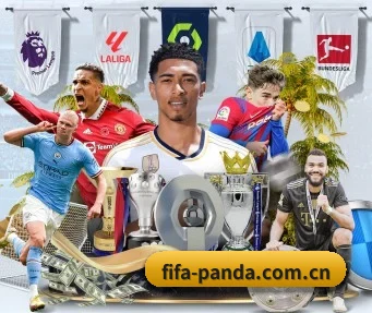 fifa-panda.com.cn APP